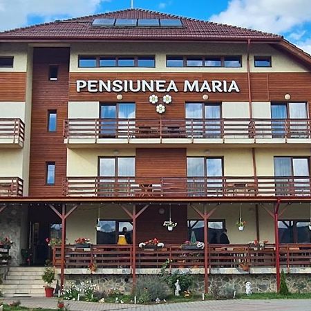 Pensiunea Maria Джилеу Екстер'єр фото