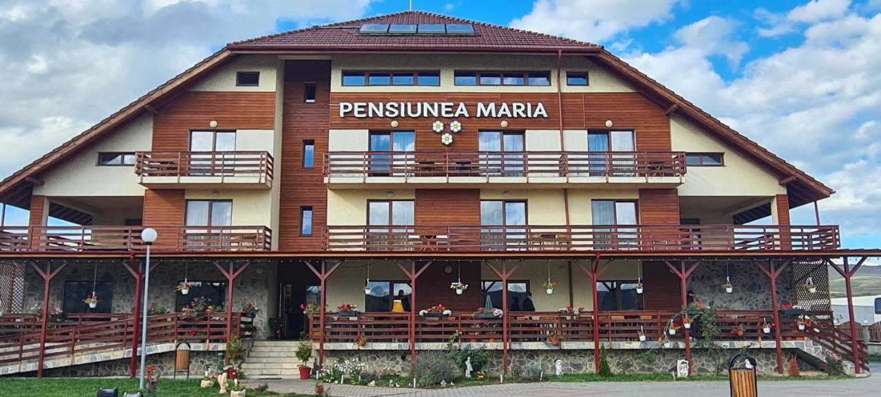 Pensiunea Maria Джилеу Екстер'єр фото